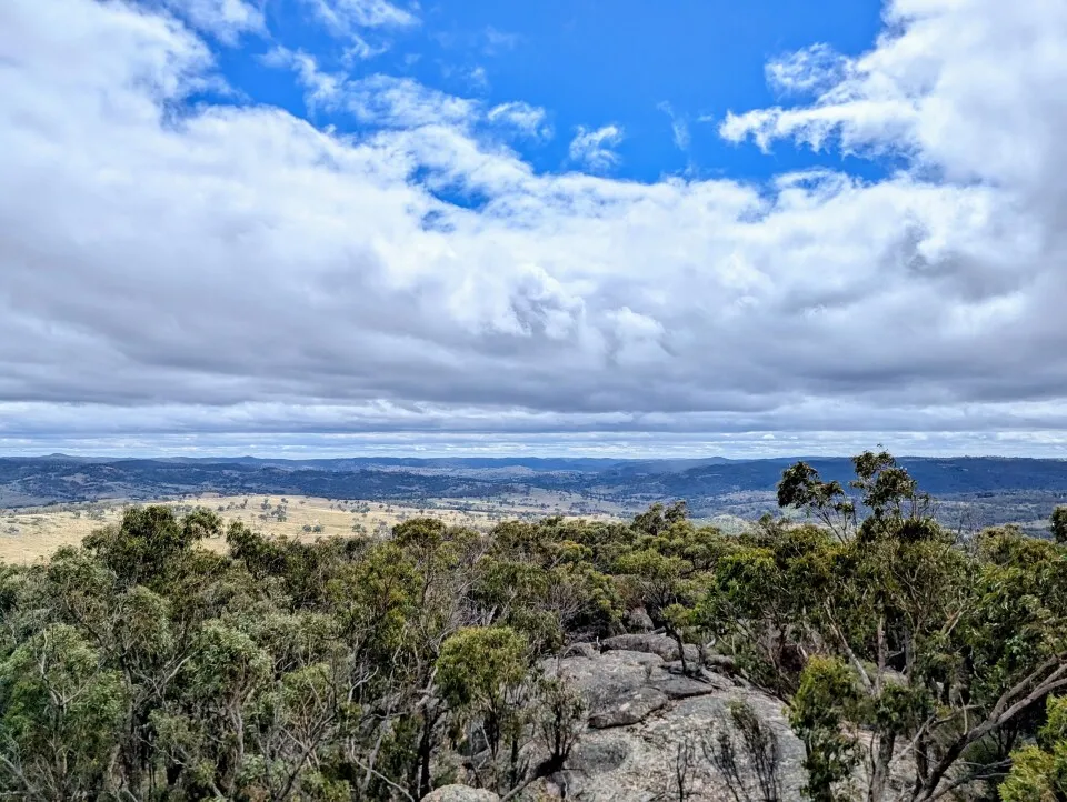 A hilltop view of a large forest on a sunny day.