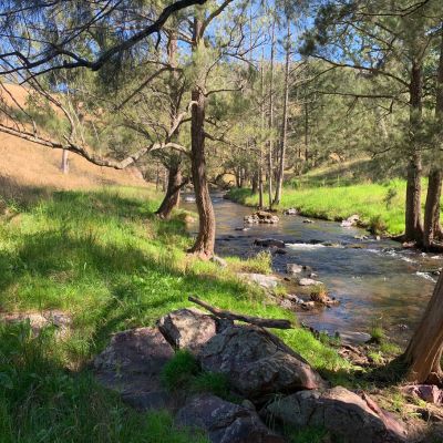 Creek running through a property at Curricbark