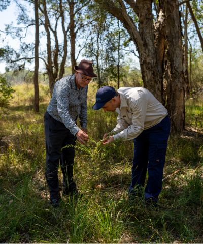 two people stand outside inspecting a plant