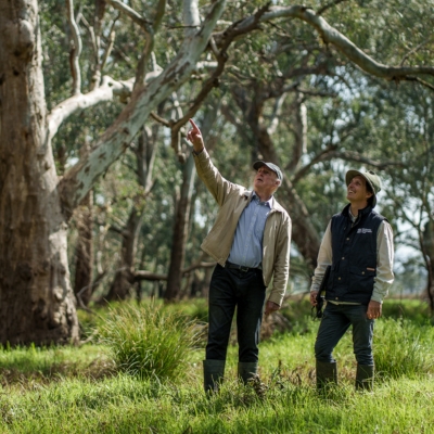 Two men stand outside pointing up at tree tops