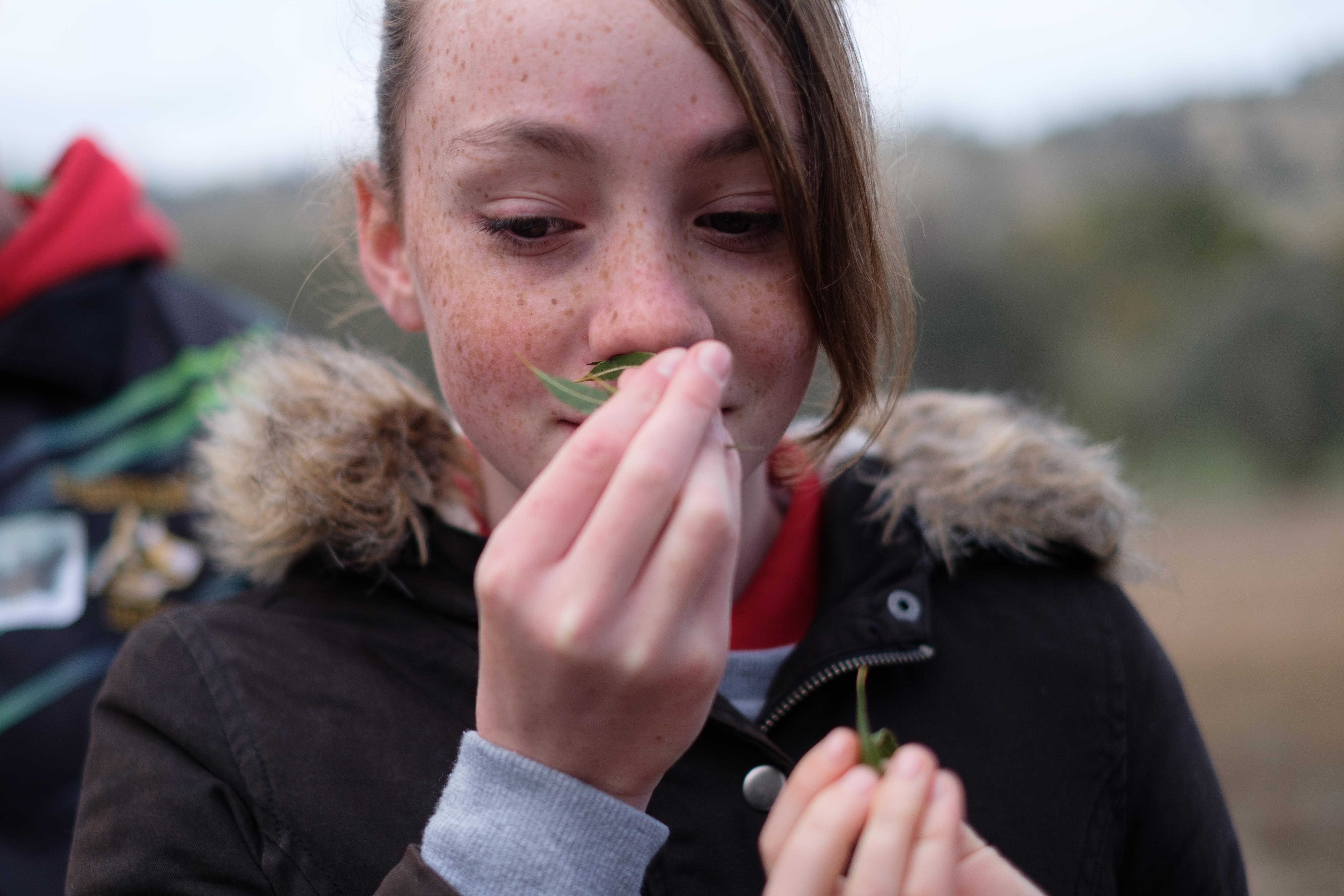Smelling gum leaves, Conservation Champions Boorowa