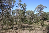 Glenmore Park biobank site (2014–15)