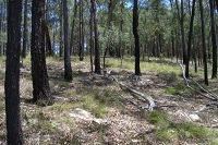 Fernhill Central West biobank site (2014–15)