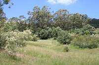 Williamswood biobank site (2015–16)