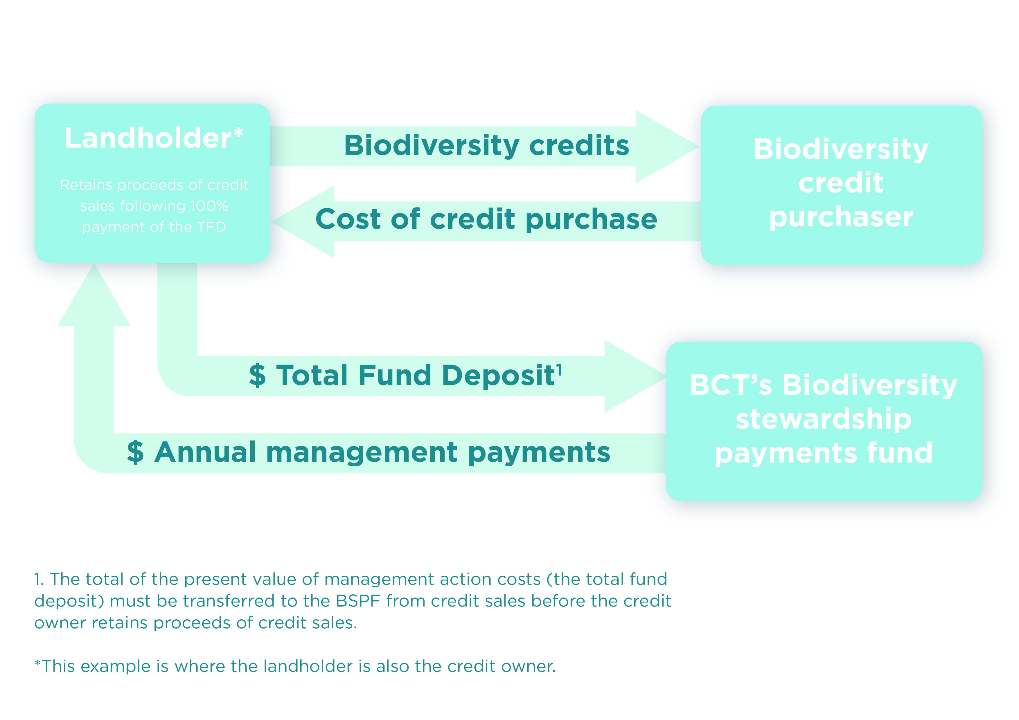BSA flow of funds