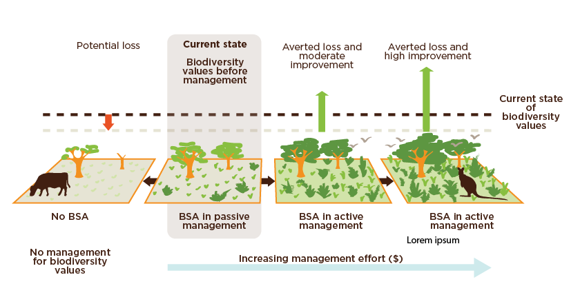 BCT Biodiversity Credits 