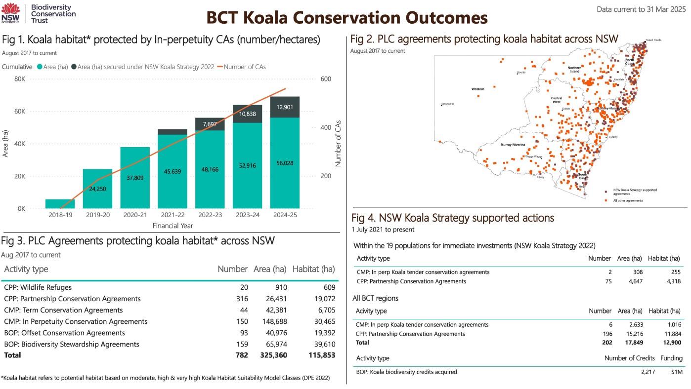 Koala Conservation Outcomes at 31 March 2025