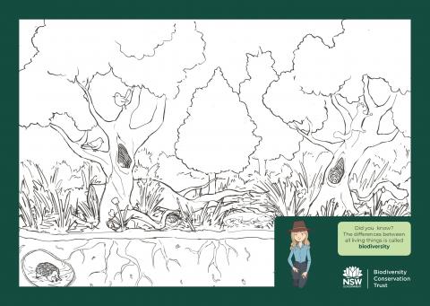BCT Colouring pack BCT Colouring pack