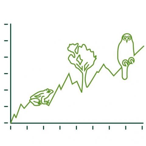 My biodiversity credit potential