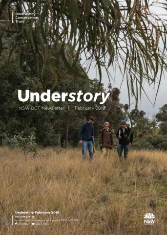 Understory 1 front page
