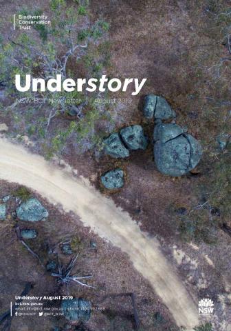 Understory 2 front page
