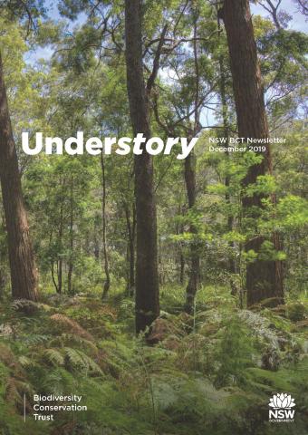 Understory 3 front page