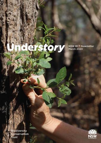 Understory 4 front page
