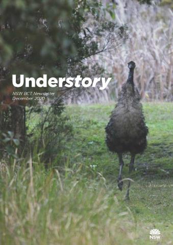 Understory 5 front page