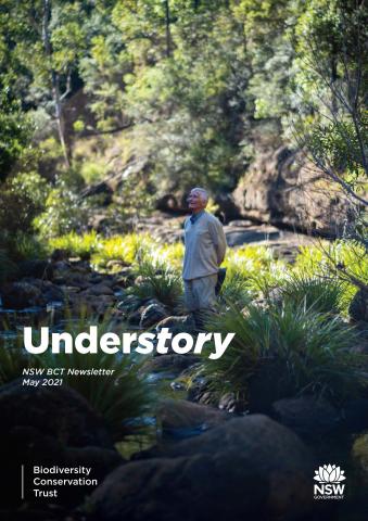 Understory 6 front page