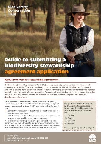 BSA submission guide