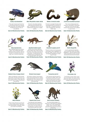 Conservationopoly card decks