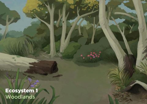Woodlands