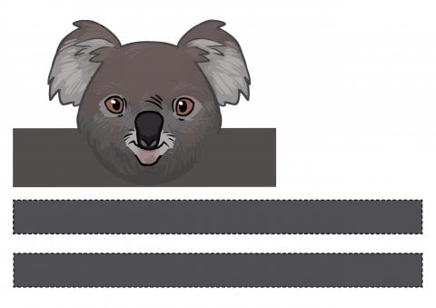 Koala crown