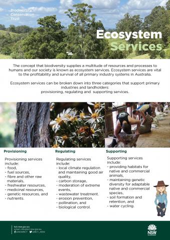 Ecosystem Services