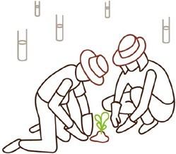 Management action: revegetation and native vegetation management