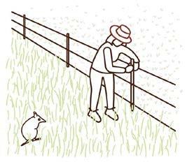 Exclusion and other fencing