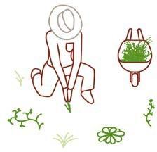 Management action 4: Integrated weed management