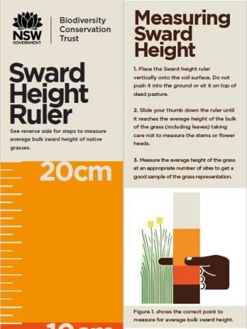 Sward