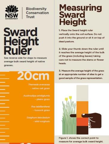 Sward