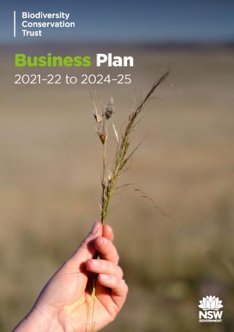 BCT Business Plan 21-25