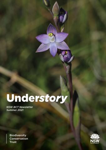 Understory 7 front page