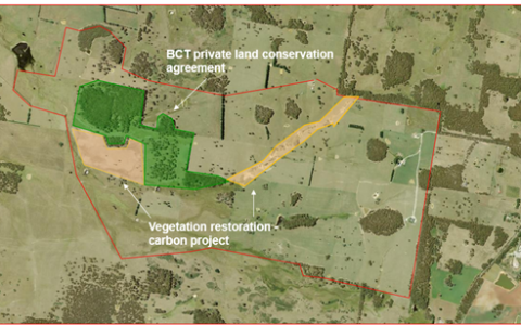 Figure 1. Complementary BCT program and carbon project