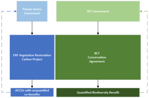 Figure 2. Investment in complimentary BCT and carbon projects. 