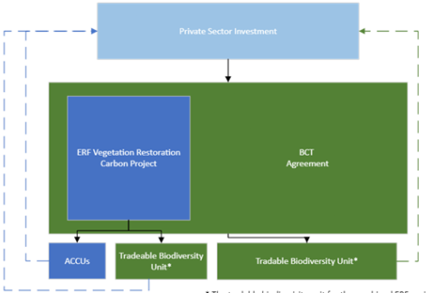Figure 6. Private investment in co-funded combined BCT program and carbon project