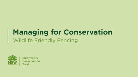 Fencing