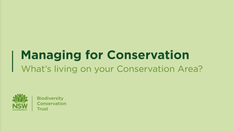 What's living on your Conservation Area? 