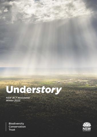 Understory Winter Edition Cover 2022 
