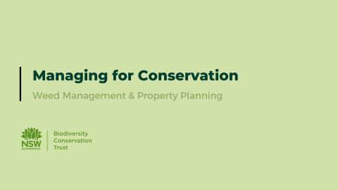 BCT Weed Management & Property Planning webinar