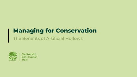 The benefits of artificial hollows
