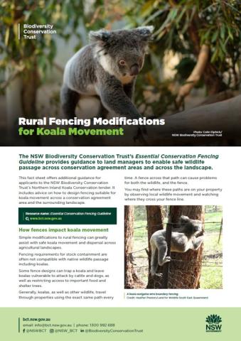 The first page of the NSW Biodiversity Conservation Trust's koala fencing guidelines
