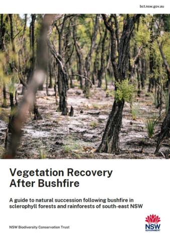Vegetation Recovery After Bushfire cover image