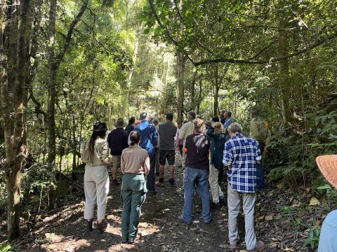 group standing outside in rainforest