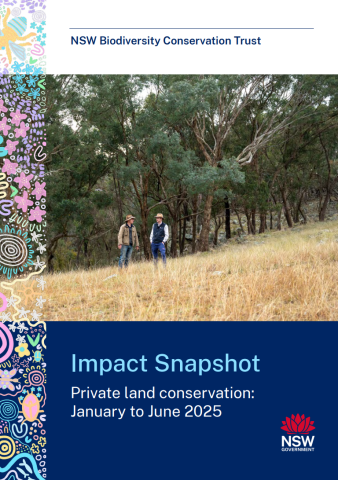 Impact Snapshot front cover - January to June 2025