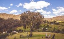 Mount Yaven Thumbnail Thumbnail