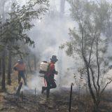 Bush burning with smoke and two people with air blowers.