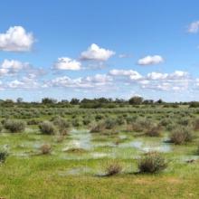 Open landscape with puddles of flood water