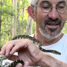 Man holds a young diamond python