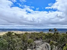 A hilltop view of a large forest on a sunny day.