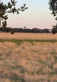 Picola property 1 (c) Craig Fellow Thumbnail